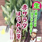  красный салат шпинат ( красный стебель салат шпинат ) культивирование период средний пестициды не использование * химия удобрение не использование Saitama префектура производство 1 пакет * внутри сторона. маленький лист. часть . порезав есть случается.