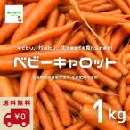 [ бесплатная доставка ( обычная температура рейс )] baby Carrot ( Mini морковь, Mini морковь ) примерно 1kg * пестициды . химия удобрение. используя не * размер смешивание [ жара . время. обычная температура рейс рассылка OK!]