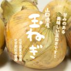  Yamaguchi префектура производство шар лук порей химия пестициды не использование * химия удобрение не использование примерно 500g(M~L размер )