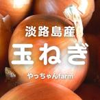 [ жара . время. обычная температура рейс рассылка OK!] Awaji Island производство шар лук порей .. Chan farm 1 пакет примерно 500g(L~2L размер )