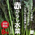 [ бесплатная доставка ] красный горчица Karashi мизуна 8kg культивирование период средний химия пестициды не использование * химия удобрение не использование Saitama префектура производство 