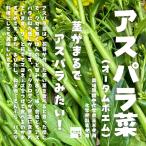 aspala.(o-tampo M ) культивирование период средний химия пестициды не использование * химия удобрение не использование Saitama префектура производство 1 пачка примерно 70g