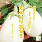 【暑い時期の常温便配送ＯＫ！】とろ〜り旨なす（白なす）　減農薬・化学肥料不使用　埼玉県産　１本（※少し傷がある可能性があります）