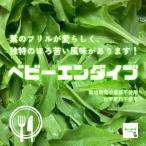  baby en большой b( baby .....) * пестициды . химия удобрение. используя не Saitama префектура производство 1 пакет примерно 50g