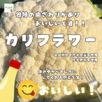  цветная капуста * химия пестициды . химия удобрение. использование не делаем Saitama префектура производство 1 шт 