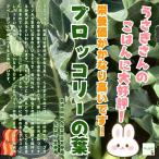  брокколи. лист * химия пестициды . химия удобрение. использование не делаем Saitama префектура производство примерно 200g