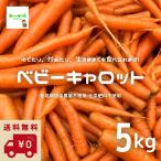 [ бесплатная доставка ( обычная температура рейс )] baby Carrot ( Mini морковь, Mini морковь ) примерно 5kg * пестициды . химия удобрение. используя не * размер смешивание [ жара . время. обычная температура рейс рассылка OK!]