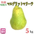 10 месяц специальный отбор груша обыкновенная maru gelito Marie la Nagano префектура производство 5 kilo 
