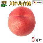 8 месяц последняя декада ~9 месяц сверху . специальный отбор река средний остров белый персик . пестициды Nagano префектура производство 5 kilo 