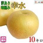 8月下旬〜9月上旬　訳あり  梨 幸水 減農薬　長野県産 10キロ