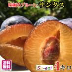 8 месяц сверху .~ средний . сырой чернослив солнечный tas. пестициды Nagano префектура производство 4 kilo 