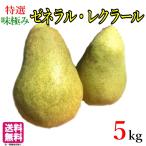 10 месяц специальный отбор груша обыкновенная zenelaru*re Clarke . пестициды Nagano префектура производство 5 kilo 