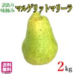 10 месяц сверху .~ средний . есть перевод груша обыкновенная maru gelito Marie la. пестициды Nagano префектура производство 2 kilo 