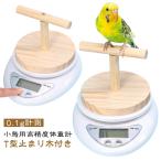 ショッピング体重計 高精度体重計 0.1g計測 小鳥用 ブンチョウ インコ 鳥の体重管理 セキセイ 小鳥用 小鳥 健康管理 T型止まり木付き ペット鳥 デジタル体重計 小