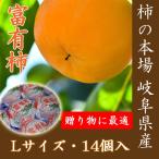.. для Gifu префектура Oono книга@ гнездо. . иметь хурма L×14 шт шт упаковка ot005