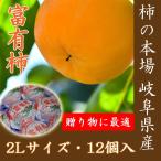 .. для Gifu префектура Oono книга@ гнездо. . иметь хурма 2L×12 шт шт упаковка ot006