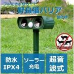 . хорошо кошка шероховатость a защита от кошек солнечный тип аукстический электромагнитные волны инфракрасные лучи сенсор простота установки кошка собака мышь лисица птица szme голубь kalas.. животное меры контейнер вредитель меры 