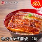 ショッピングうなぎ 最安値に挑戦　特大うなぎ蒲焼き　600ｇ（約300ｇ×2）無頭背開き　ウナギ　鰻　丑の日　徹底管理された中国産