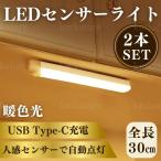 LED свет человек чувство сенсор . цвет свет днем свет цвет 30cm 2 шт. комплект магнит USB зарядка сенсорная панель автоматика лампочка-индикатор легкая установка 