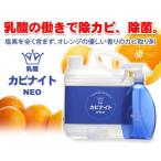乳酸カビナイト　Neo （4Lセット）
