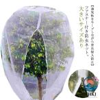 ファスナー付 果樹 送料無料 野菜栽培 虫よけネット 防虫ネット ネット 300×300cm THKJ ジッパー付き 植物保護カバー プランター用 植物保護袋 虫害対策 野