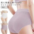  бедствие сопутствующие товары 8 шт. комплект! нижнее белье земля . меры хлопок бедствие путешествие шт упаковка путешествие женский THKJ женский командировка одноразовый одноразовый брюки менструация путешествие за границу внутренний 