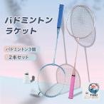  бадминтон ракетка 2 шт. комплект начинающий фитнес тренировка для Pro легкий металлический бадминтон ракетка Shuttle 3 шт тренировка для безопасность легкий спорт tray 