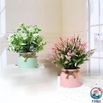  человеческий труд декоративное растение искусственная зелень декоративное растение искусственный цветок отель living салон часть магазин . класть растения окно сторона современный пространство оптимальный подарок перемещение праздник . брак День отца . починка .