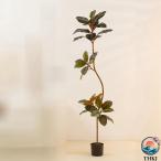  человеческий труд декоративное растение Индия резина nokipala резина noki искусственная зелень просмотр растения искусственный цветок отель living салон часть магазин . класть растения окно сторона большой современный пространство оптимальный подарок .