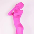 全身タイツ 薄い生地 ピック 男性女性兼用 FSサイズ ゼンタイ コスプレ ZENTAI レオタード ボディースーツ 仮装 イベント 戦隊