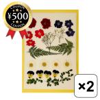 押し花 乾燥シートセット ×2点 FS-106 おしばな 手作り 簡単 ドライフラワー オーアールエス 自宅 遊び 手作りキット 室内 おすすめ