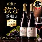  Shiwa фрукты park 6 месяцев .. Shiwa блок. виноград сок 720ml× 2 шт Iwate производство nonalcohol сок .. виноград несессер подарок подарок 
