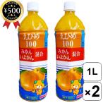 えひめ100 みかん いよかん混合 1000ml×2本セット 愛媛産 温州みかん いよかん ミックスジュース フルーツ ジュース ストレート