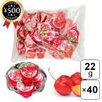  Fuji правильный еда ацерола желе Fe 22g×40 шт. комплект ацерола желе закуска десерт Event для бизнеса один . размер большая вместимость питание ..