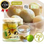 . рисовое поле магазин цветок 9 . печать .. сироп ..250g местного производства слива .. Nagano префектура производство сироп .. бутилированный .. предмет не использование плоды утомление восстановление десятая часть было использовано йогурт 