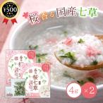こだま食品 春の桜七草 4g×2袋セット 国産七草 七草粥 桜塩漬け付き 七草セット おかゆの具 簡単調理 季節限定 無病息災 常温保存