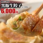 餃子 取り寄せ 冷凍餃子 黒豚生餃子 100個(20個入り×5箱) 販売個数2500万個突破・パリパリ感が他とは違う。 レトルト食品 お取り寄せグルメ