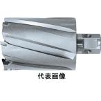ジェットブローチ ワンタッチタイプ 35×50L NO.16435 日東工器