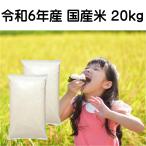お米 20kg 「令和6年産 国内産米 20kg」 白米