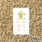 金のいぶき 玄米 5kg 令和5年産 玄米ダイエット 玄米食専用米 宮城県