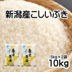 お米 新潟米 こしいぶき 10kg 新潟県産 令和7年産 白米 5kg×2袋 「新潟産こしいぶき 10kg」