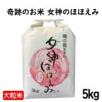 ショッピングほほえみ 女神のほほえみ 愛知産 5kg 令和5年産 大粒 白米 お中元 ギフト