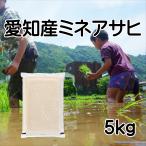 幻の米　食味ランキング特A 令和7年産　ミネアサヒ　お米 ミネアサヒ 愛知産 5kg 令和7年産 食味ランキング特A 白米 山の幻 「愛知産ミネアサヒ5kg」
