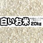 ショッピング米 白いお米 20kg(10kg×2)