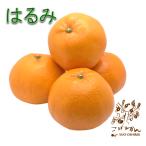  Yamaguchi .. Ooshima производство [. .. для бытового использования средний коробка примерно 4.5kg] размер нет выбор другой 