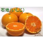 山口周防大島産『石地（いしじ） 家庭用 大箱 約9.5kg』サイズ無選別 (箱込約10kg)