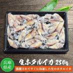 冷凍生ホタルイカ（刺