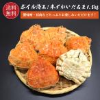 ショッピングかに 本ズワイだるま 1.5kg（4〜7個) 【送料無料】かにみそたっぷり甲羅詰め合わせ かに カニ 蟹 お歳暮