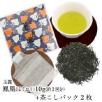 玉露 お茶 日本茶 新茶 父の日 お誕生日 お土産 2025 ギフト プレゼント 1煎パック 茶こしパック付き 緑茶 茶葉 宇治茶 実用的 袋入り お試し