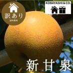 早割 梨 訳あり 鳥取県産 新甘泉梨5kg(10〜20玉入り) 送料無料 2025年産予約